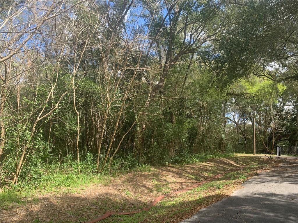 Tbd, Ocala, FL 34475