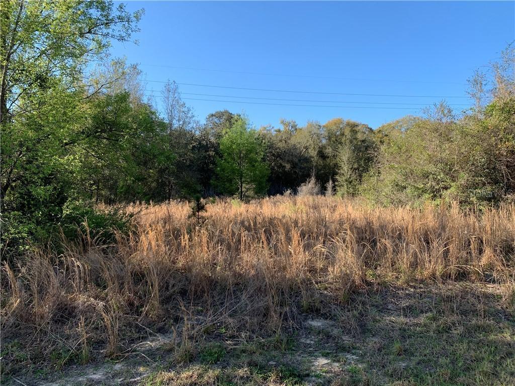 TBD Locust Loop Cir., Ocala, FL 34472