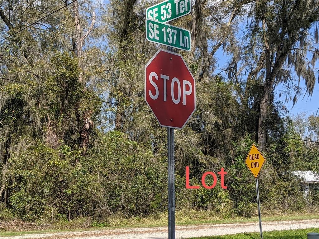 SE 137 Ln., Summerfield, FL 34491