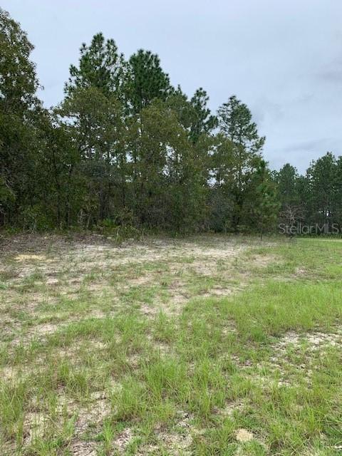 164th St Rd, Ocala, FL 34473