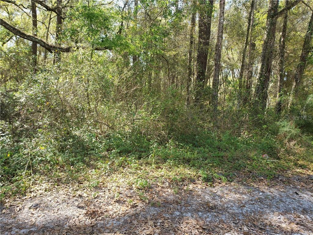 Sw 2nd Place, Ocala, FL 34482