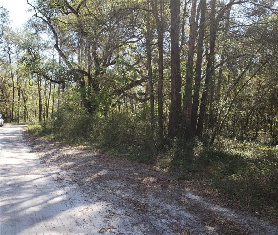 SW 2nd Pl., Ocala, FL 34481