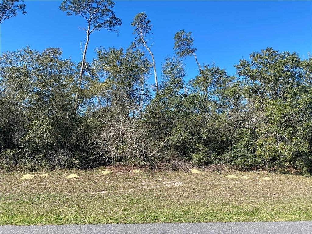 Marion Oaks Golf Way, Ocala, FL 34473