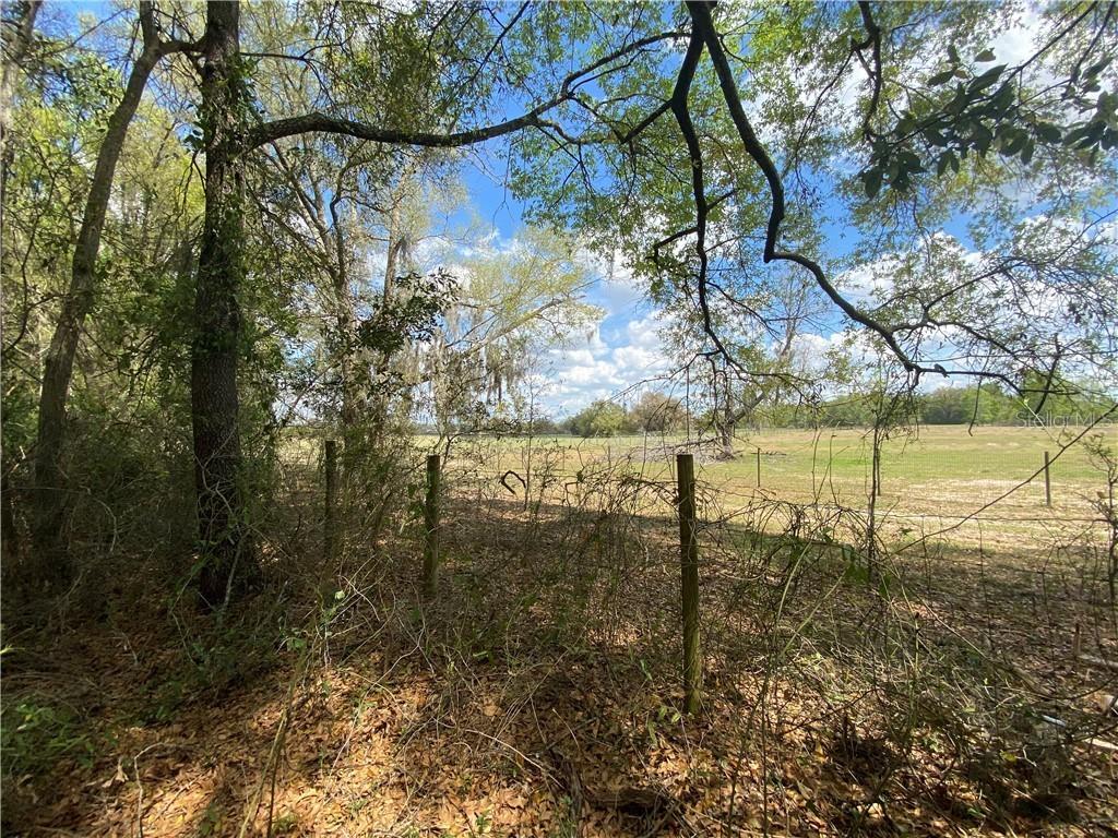 5851 NE 139th Ter., Williston, FL 32696