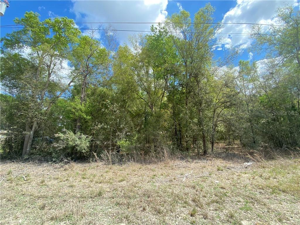 TBD NE 139th Ter., Williston, FL 32696