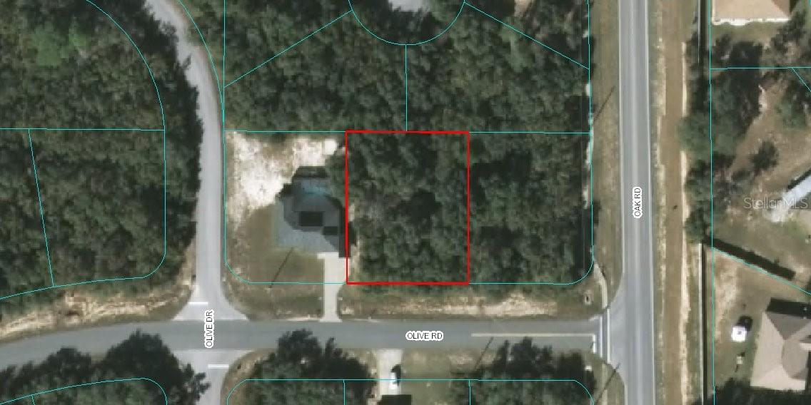 Lot 6 Olive Rd., Ocala, FL 34472