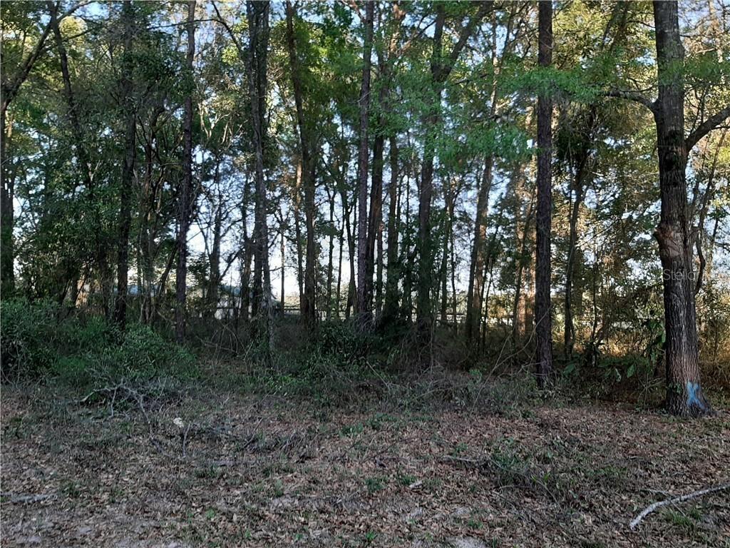 00 SW 155th Ct., Ocala, FL 34481