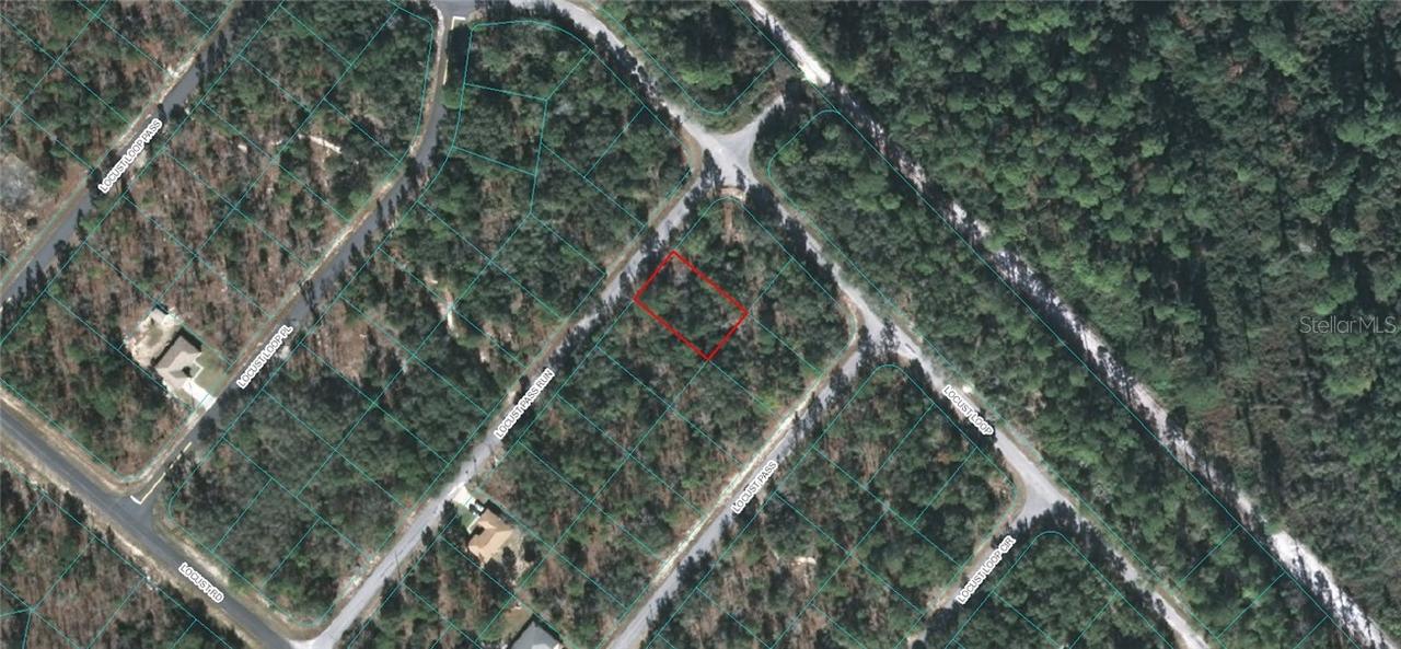 SE Locust Rn Pass, Ocala, FL 34472