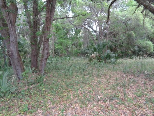 E County Rd 325, Cross Creek, FL 32640