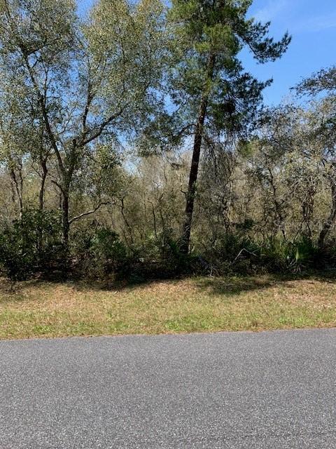00 SW 42 Nd Ave, Ocala, FL 34473