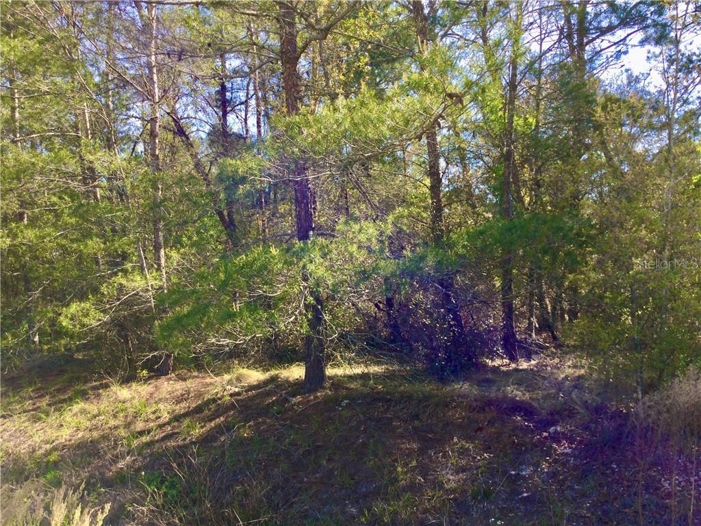 TBD SW 106th St., Ocala, FL 34476