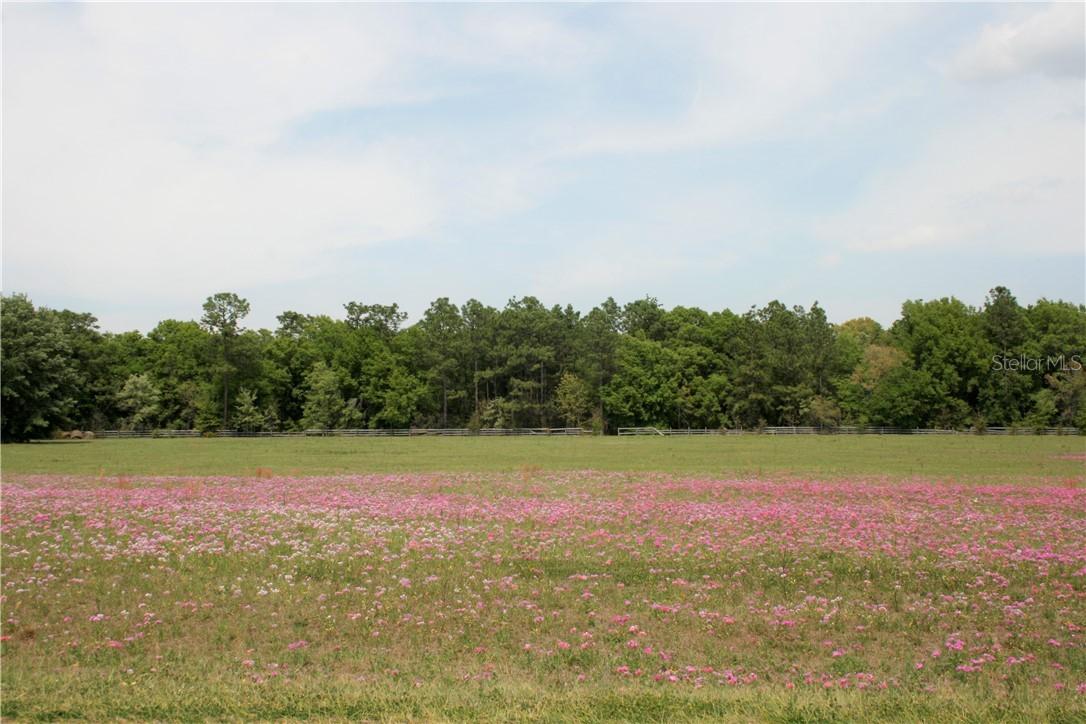 SW 128th Ln., Ocala, FL 34473