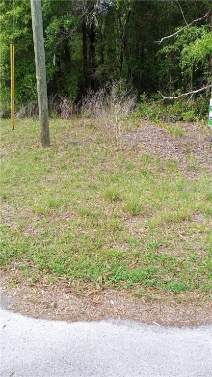 TBD Locust Run Rdl, Ocala, FL 34472