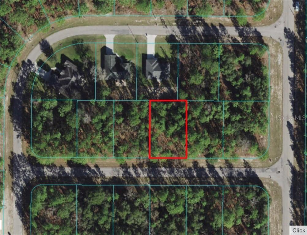 SW 134 St., Ocala, FL 34473
