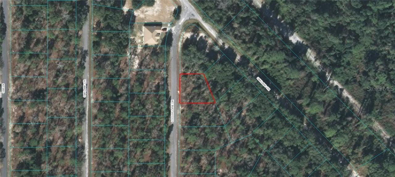TBD Locust Lane Dr., Ocala, FL 34472