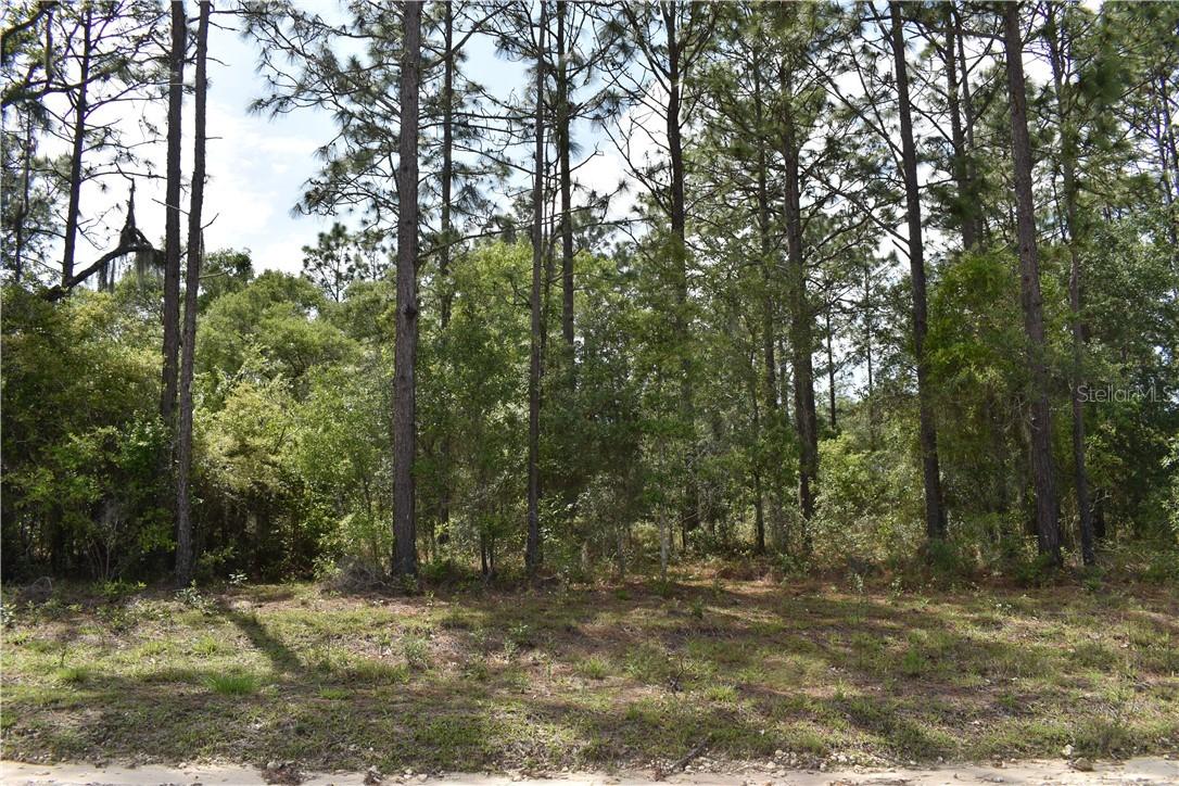 Lot 4 TBD SE 140 Ave., Morriston, FL 32668