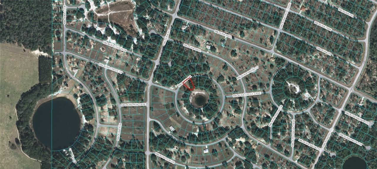 Malauka Circle, Ocklawaha, FL 32179