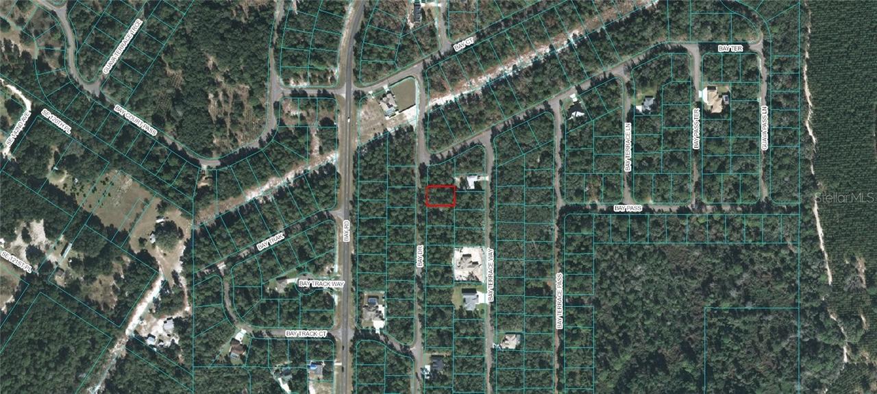 Bay Drive, Ocklawaha, FL 32179