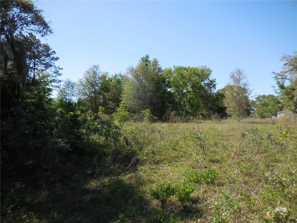 9831 NE 101st St., Archer, FL 32618