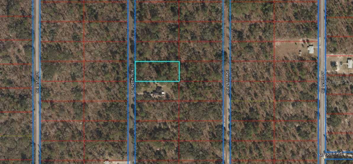 SE 126 Ter., Dunnellon, FL 34431