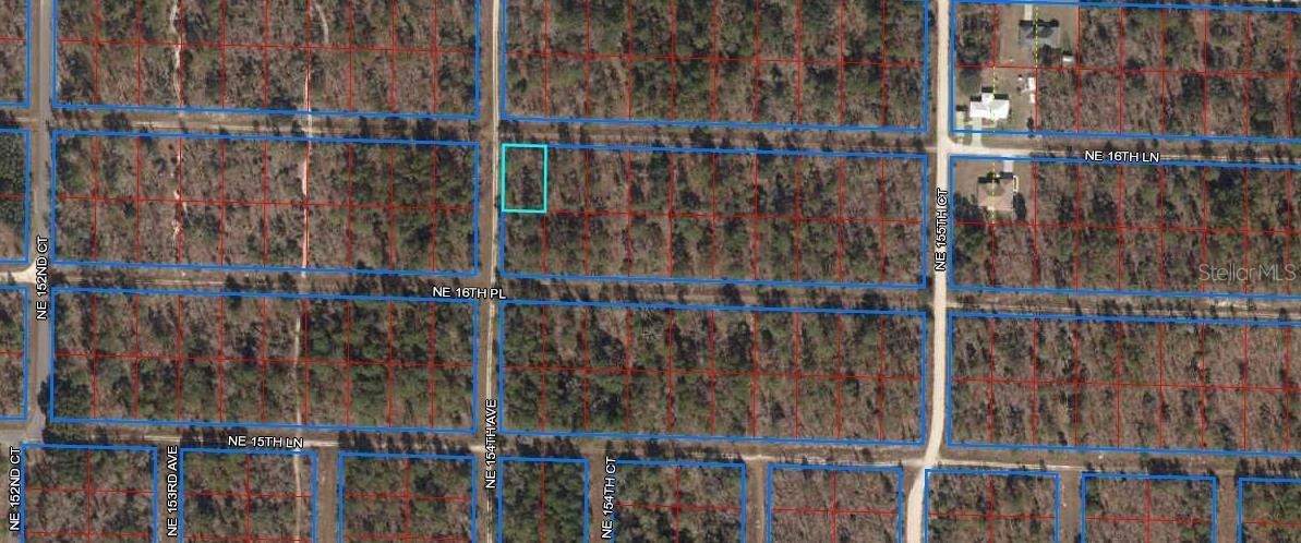 NE 16 Ln., Williston, FL 32696