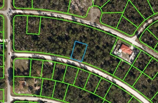 1229 Cockatoo Ave., Lake Placid, FL 33852