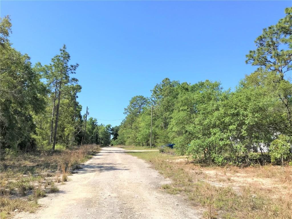 lot 9 NE 154th Ave., Williston, FL 32696