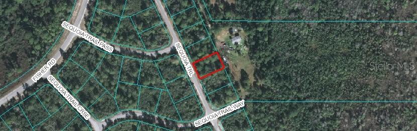 Sequoia Tr., Ocklawaha, FL 32179
