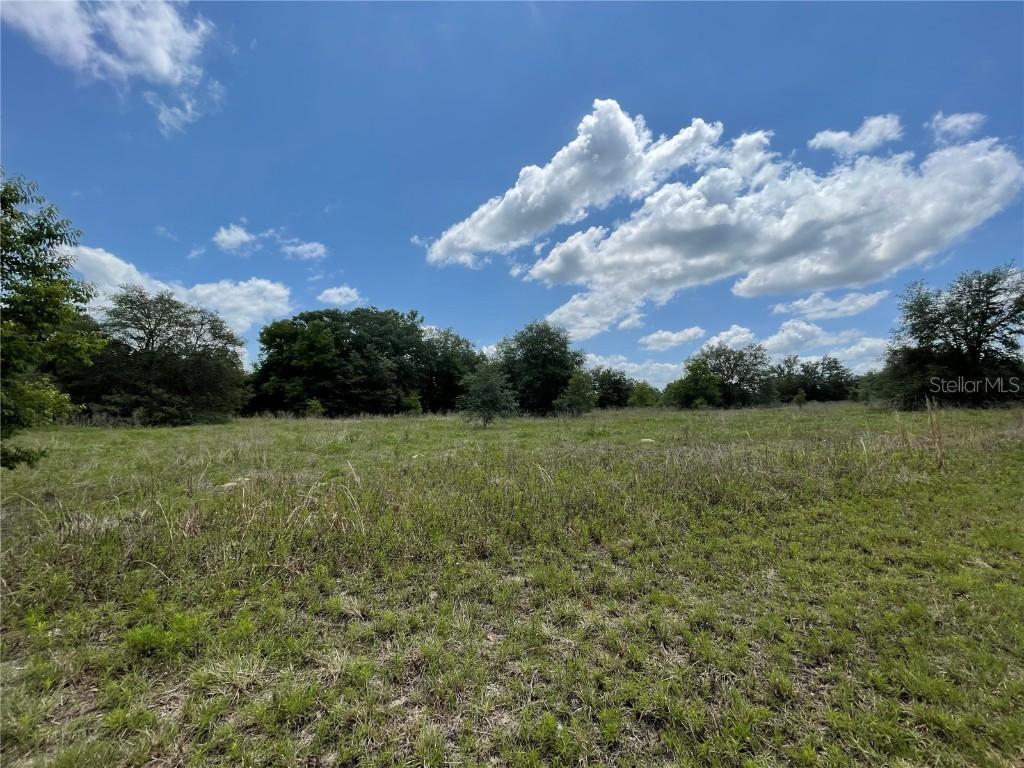TBD SW 145th Ct., Ocala, FL 34481