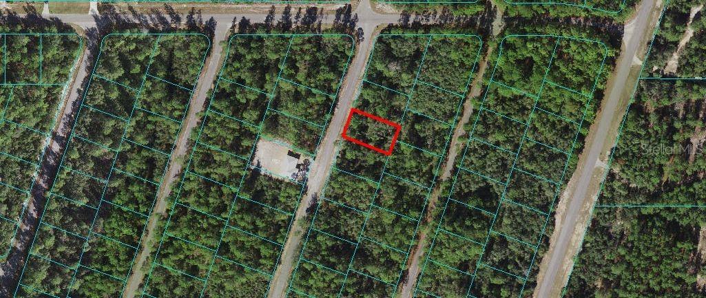 Fisher Track Way, Ocklawaha, FL 32179