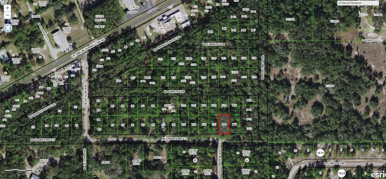 2809 W Grapevine Ct., Dunnellon, FL 34433