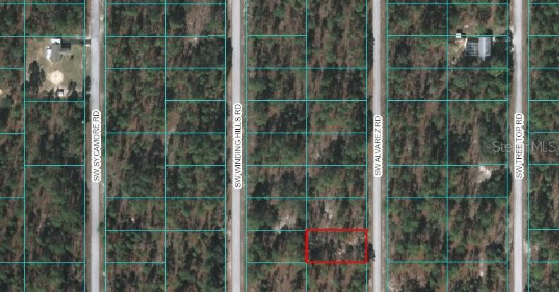 00 SW Alvarez Rd., Dunnellon, FL 34476