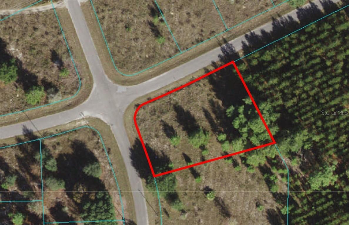 TBD Guava Pass Radial, Ocklawaha, FL 32179