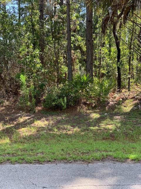 Sw 43rd Cir, Ocala, FL 34473