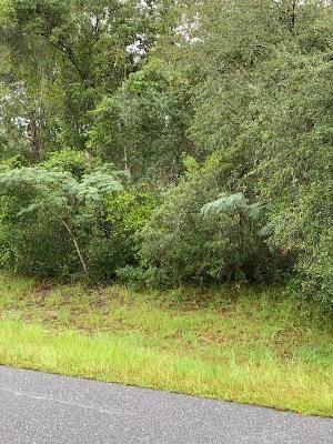 0 Sw Marion Oaks Trl, Ocala, FL 34473