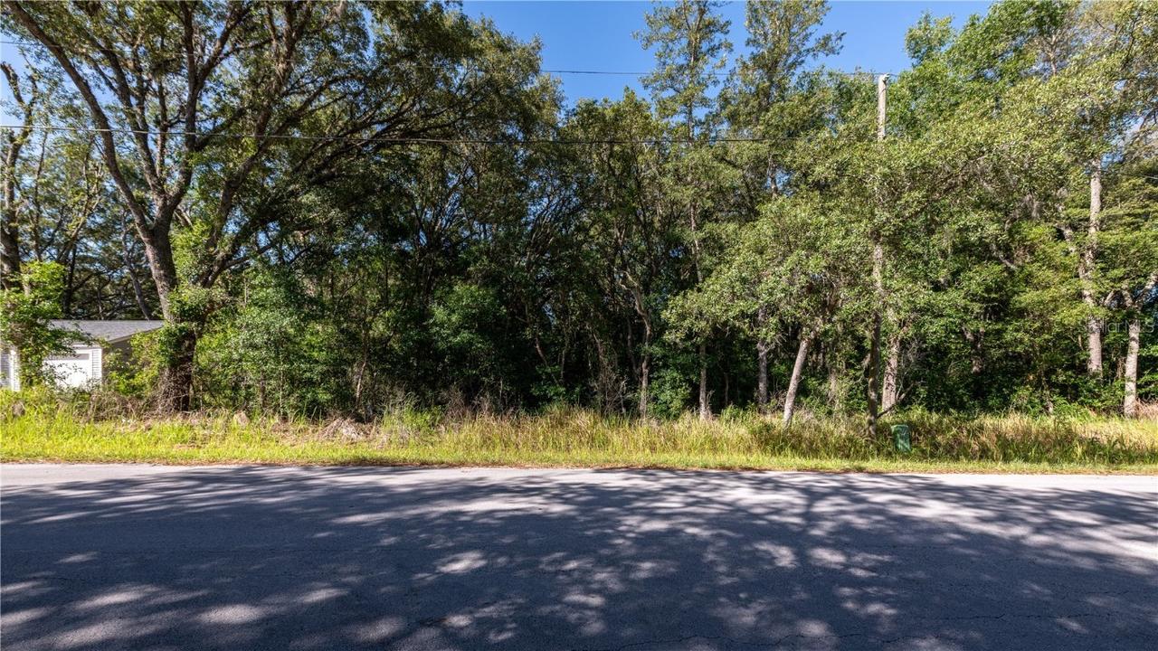 00 Bahia Pass Track, Ocala, FL 34472