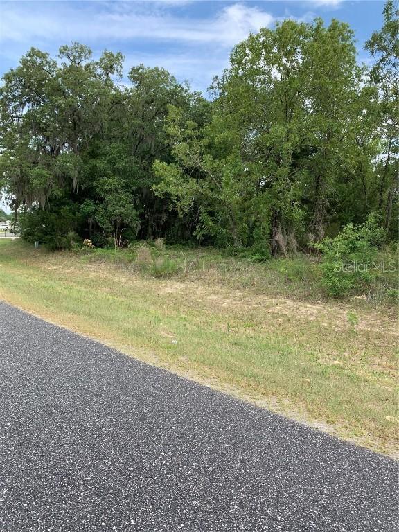 SW 116th Place Rd., Ocala, FL 34476