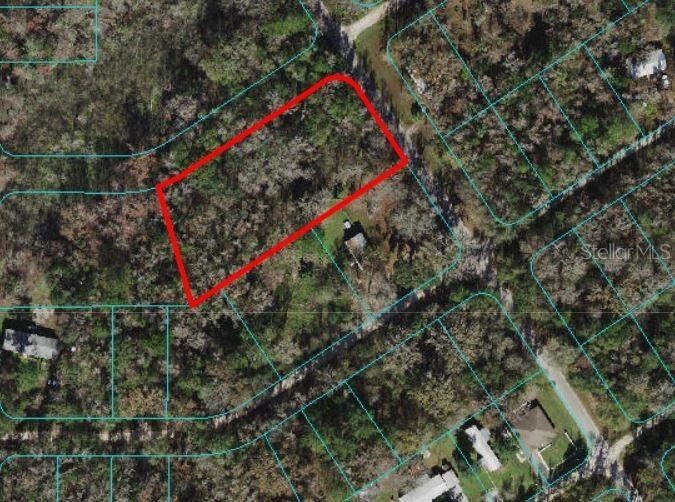SW 133rd Avenue Rd., Ocala, FL 34481