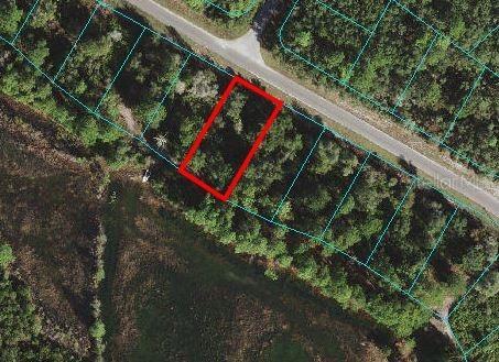 TBD Fisher Way Dr., Ocklawaha, FL 32179