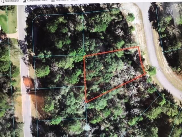 SW 152 Lane Rd., Ocala, FL 34473