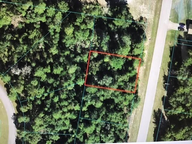 Marion Oaks Lane, Ocala, FL 34476