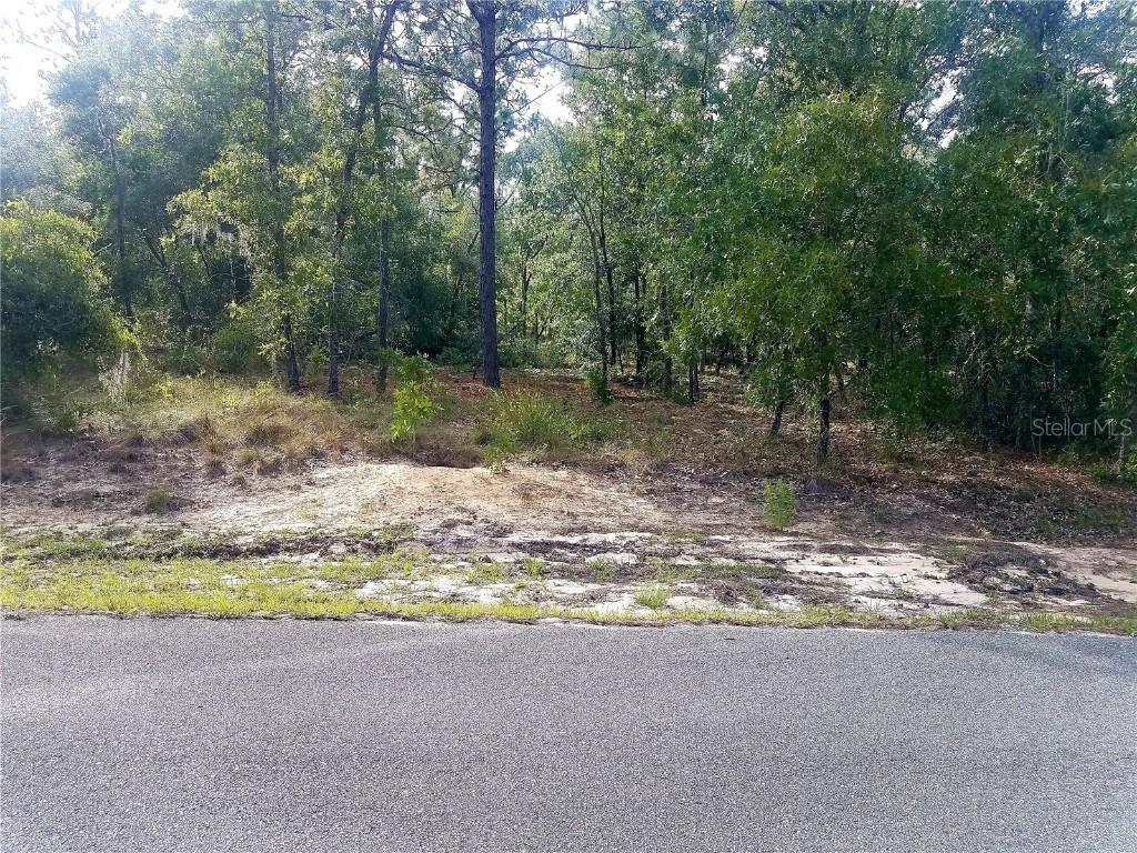 TBD Locust Loop Place, Ocala, FL 34472