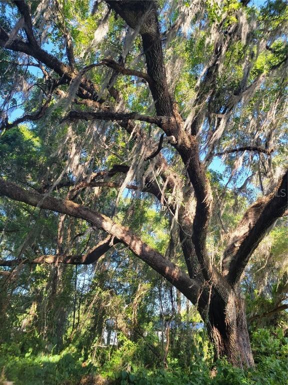 7700 NW 115th Ave., Ocala, FL 34482