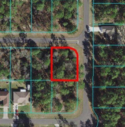 TBD SW 131 Loop, Ocala, FL 34473