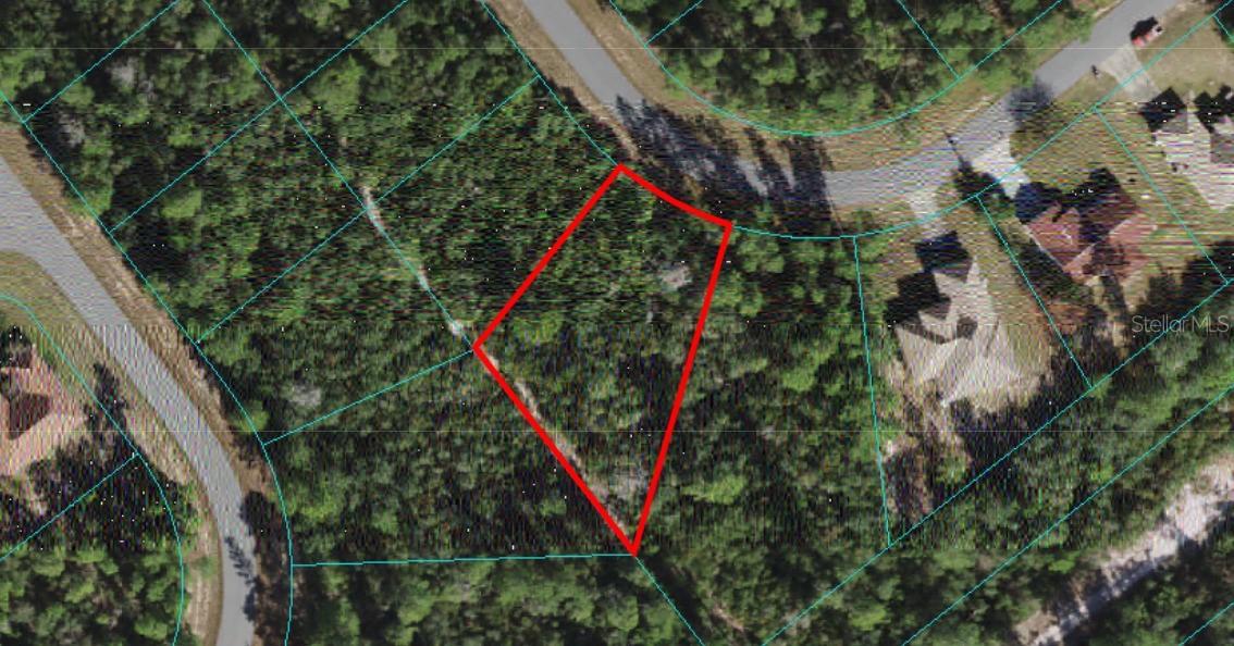 TBD Lot 24 SW 165th St Rd., Ocala, FL 34473
