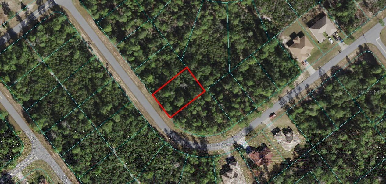 TBD Lot 11 SW 165th St Rd., Ocala, FL 34473