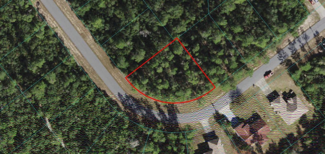 TBD Lot 10 SW 165th St Rd., Ocala, FL 34473