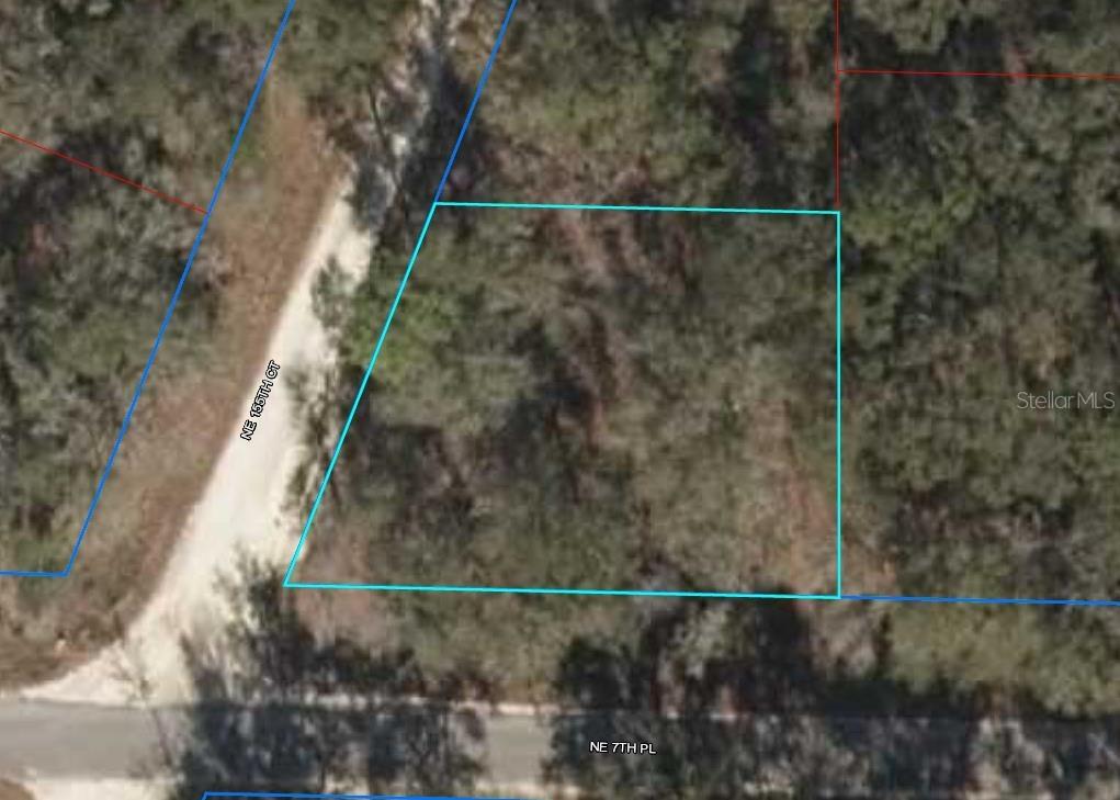 TBD NE 7th Pl., Williston, FL 32696