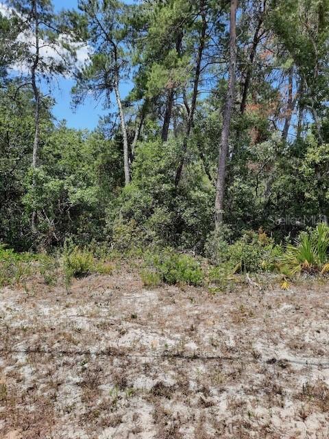 SE Marion Oaks Manor, Ocala, FL 34473