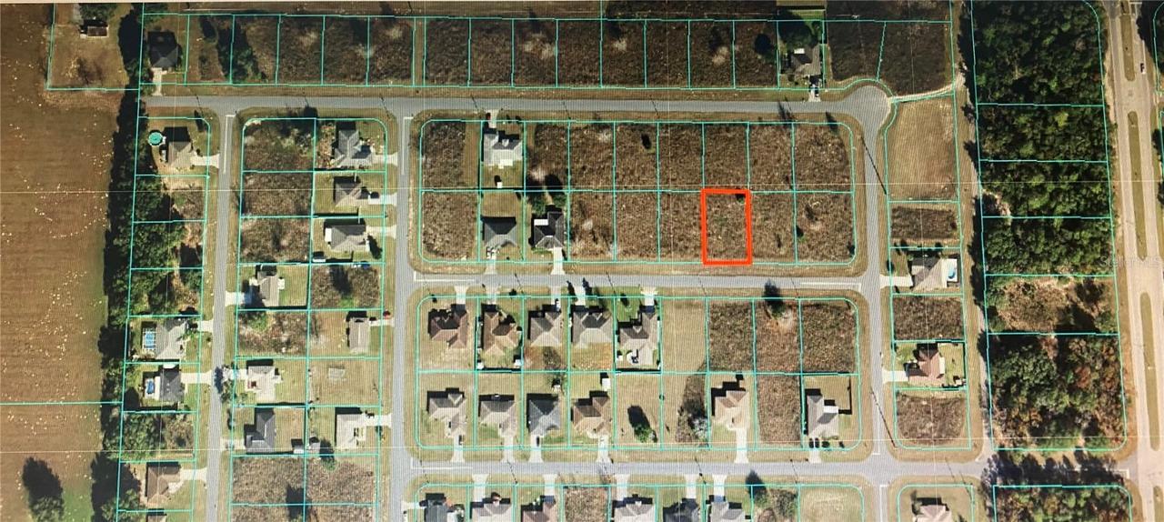 TBA SW 136 St., Ocala, FL 34473